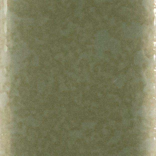 Skin - Moss Lustré / Glossy