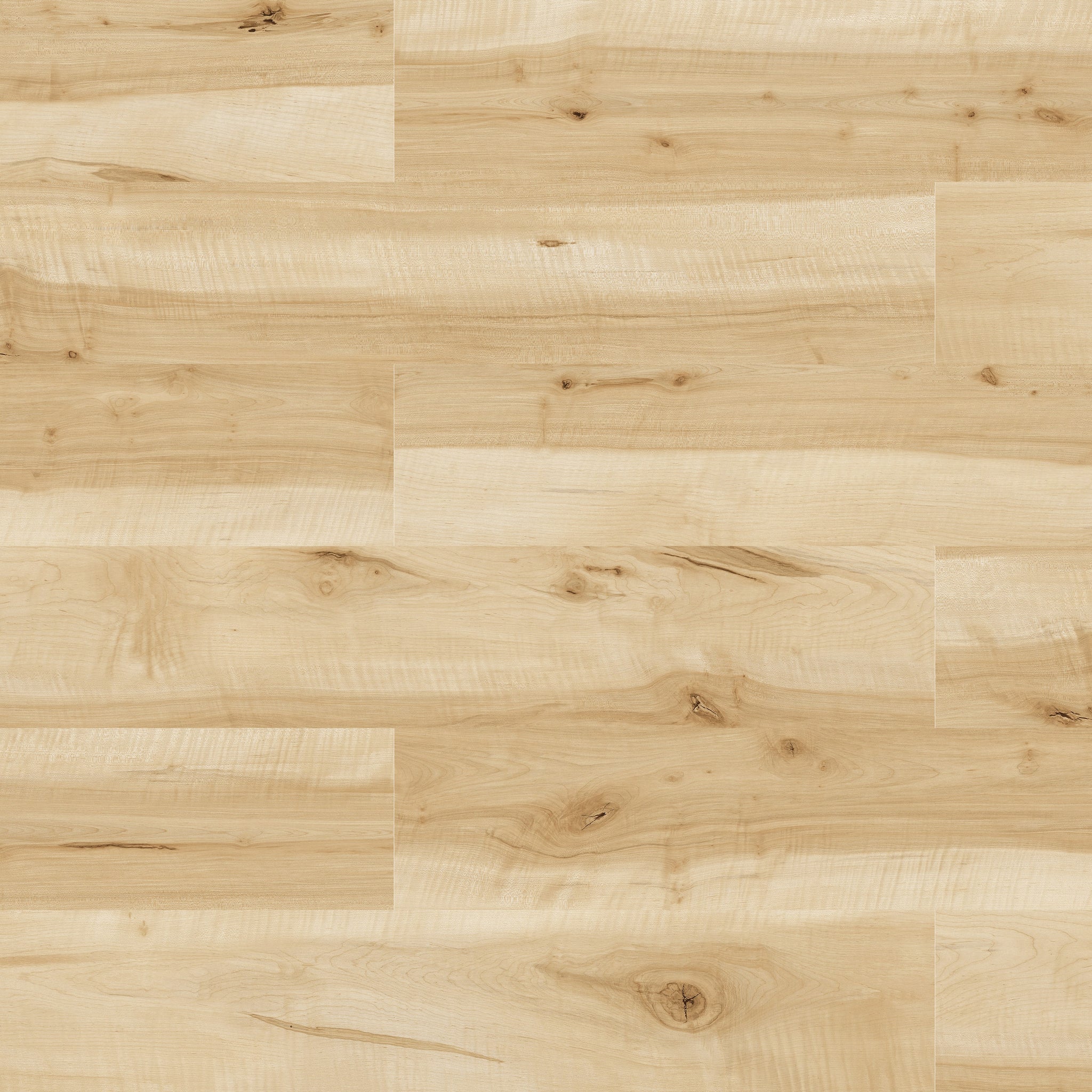 Brussel Edge - Tango