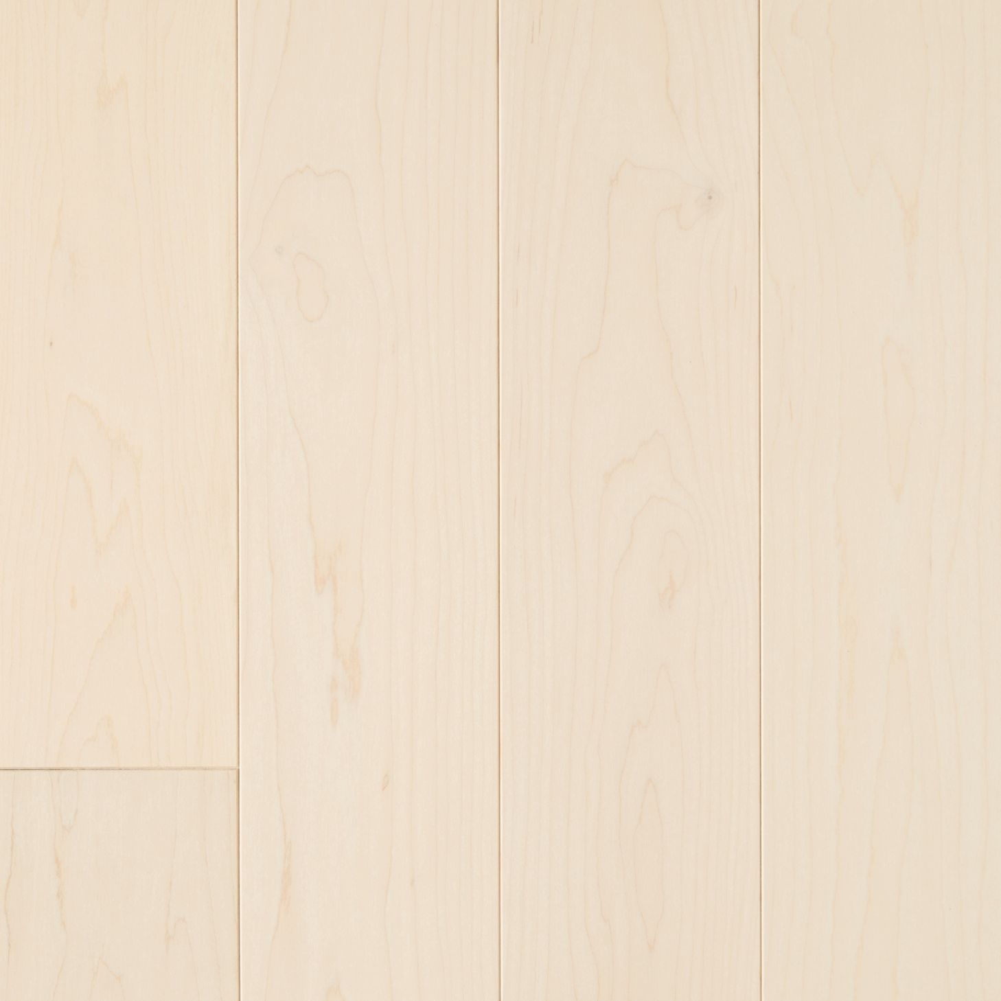 Érable Select TB19 / Maple Select TB19 - Zen