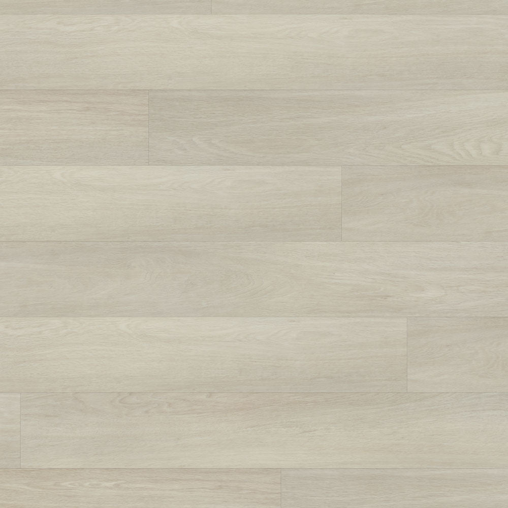 BERGEN - SOLANO - SWATCH