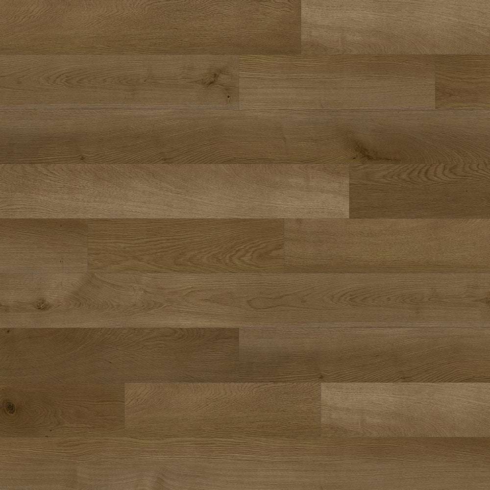 Copenhague Pro - Provence