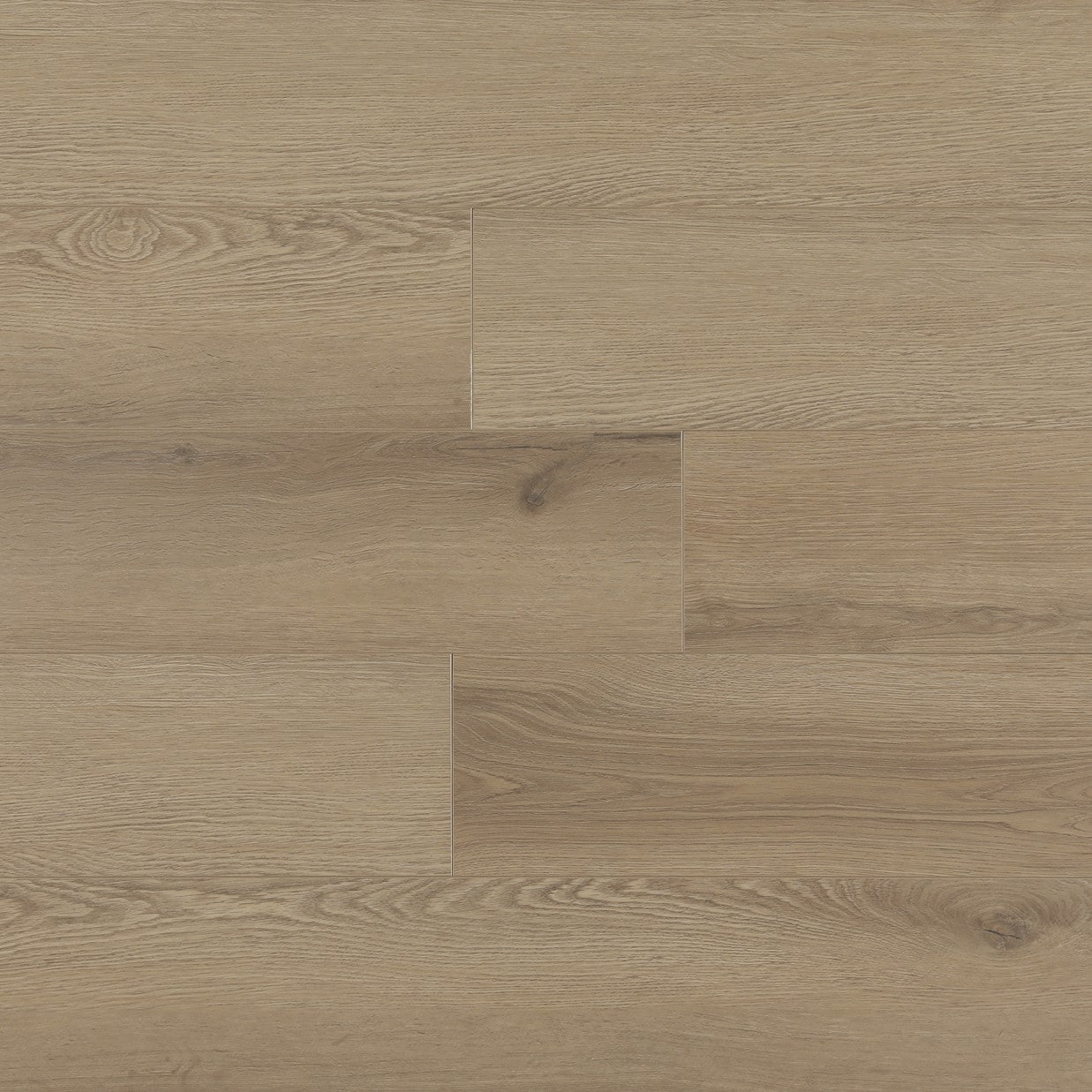 Brussel Edge - Requiem