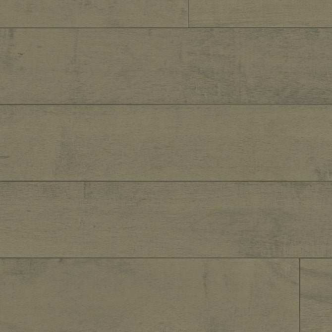 Érable V+ Max 19 / Maple V+ Max 19 - Inox