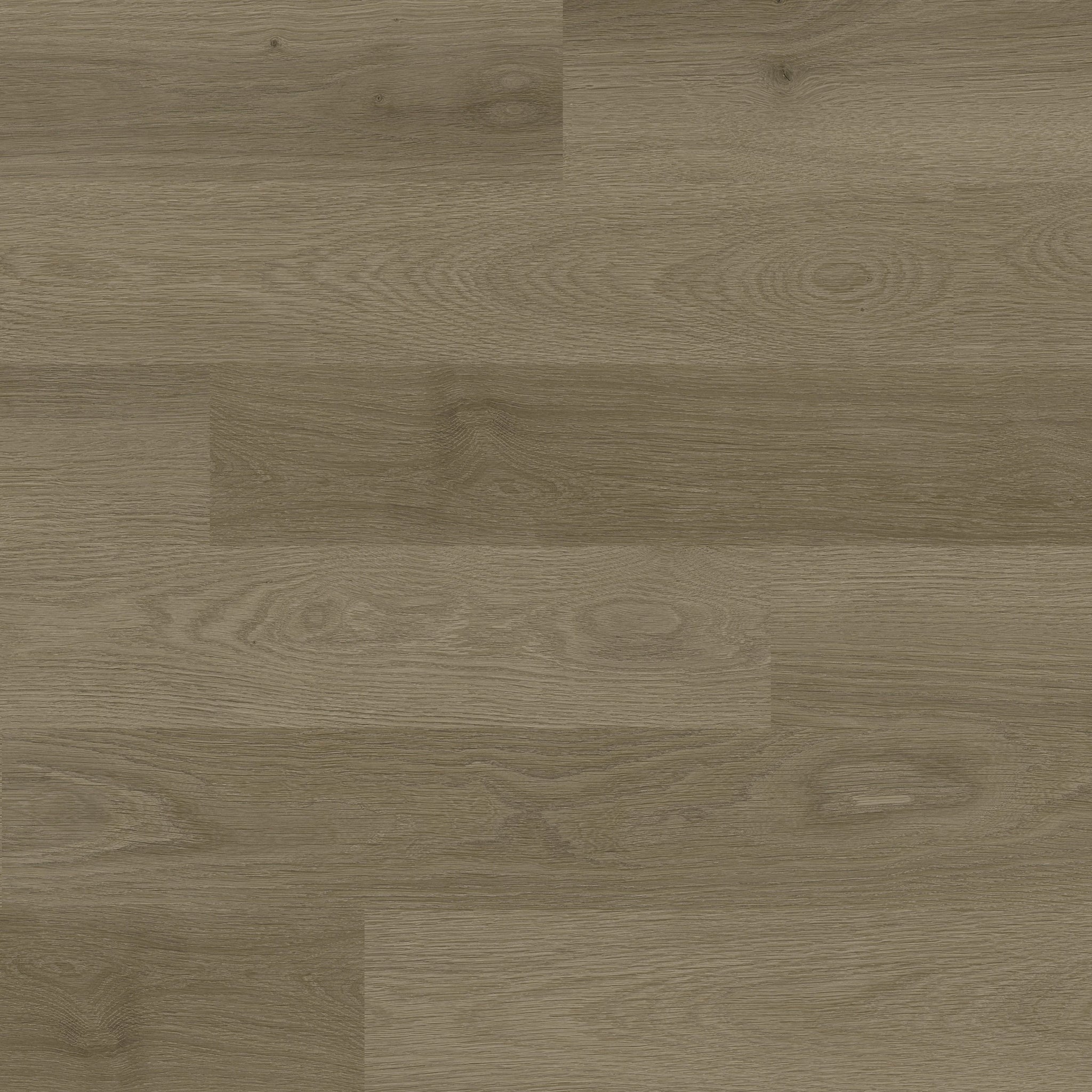 BYRON - LACERTA - SWATCH