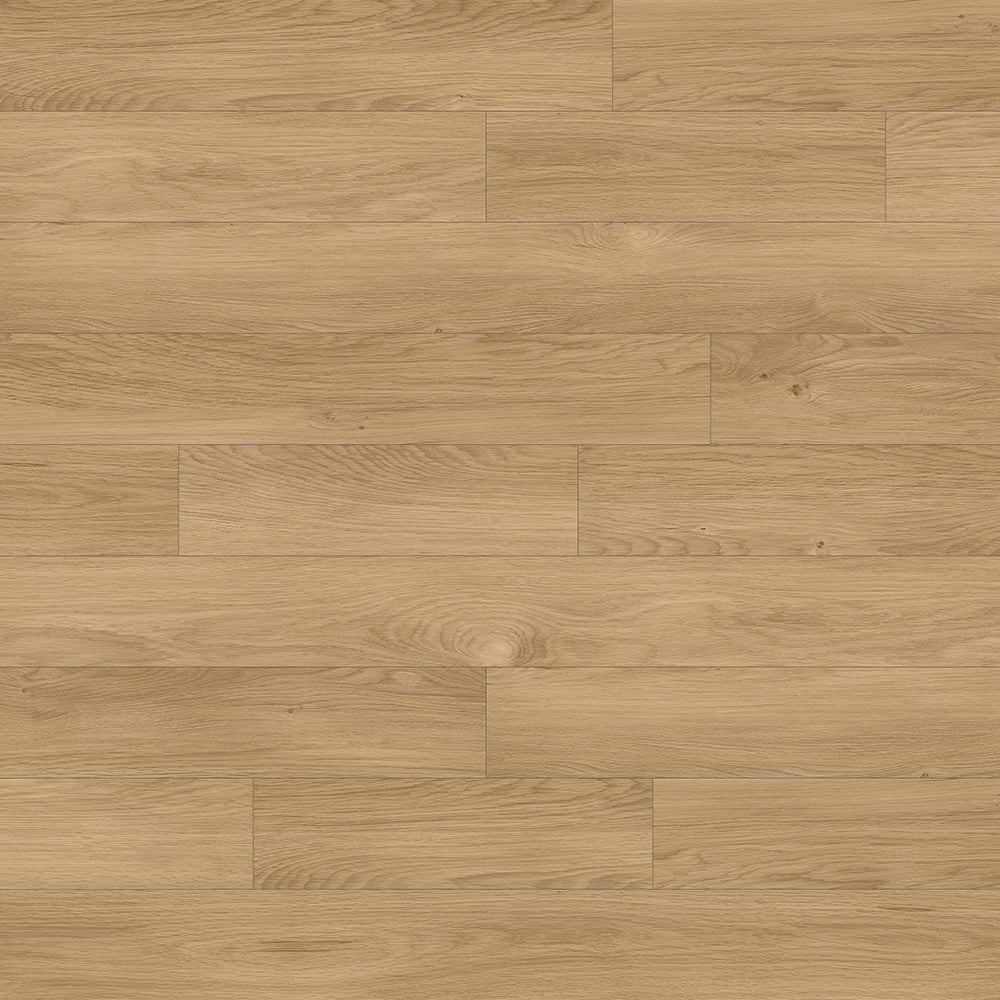 Copenhague Pro - Lyra