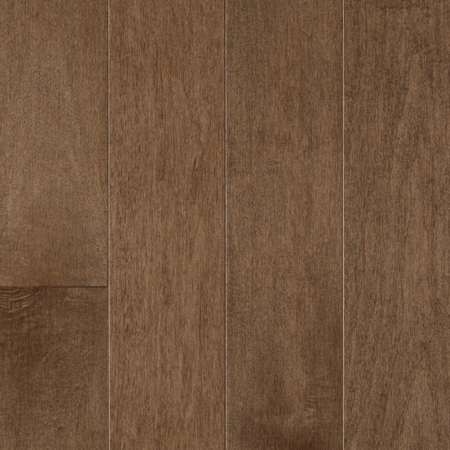 Érable Select TB19 / Maple Select TB19 - Nomad