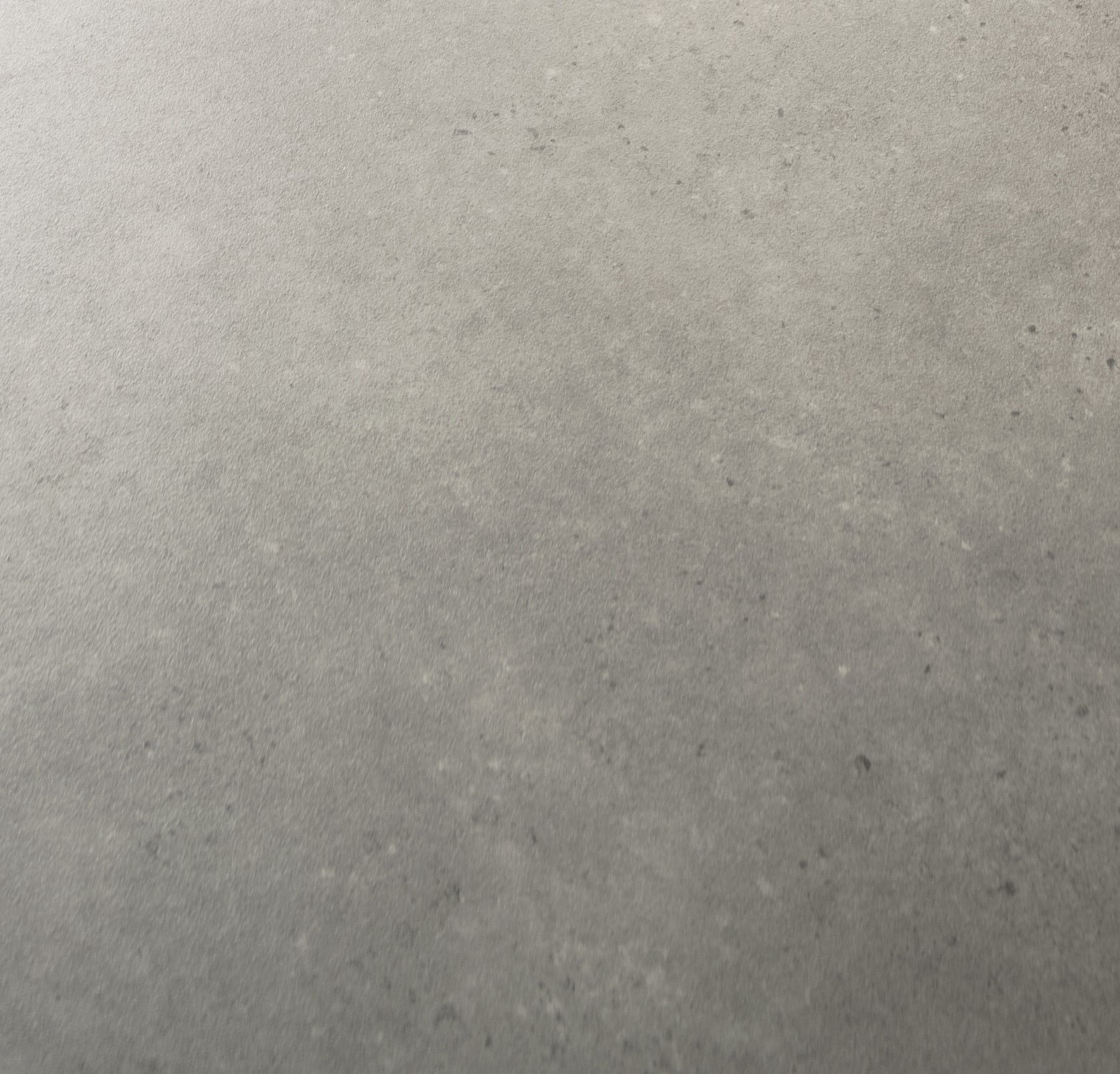 Tavernay - Oxley 583