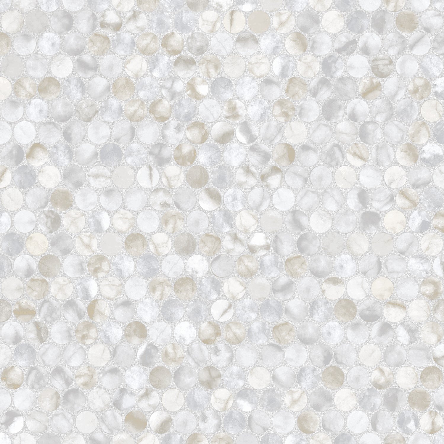 First Class - Bianco