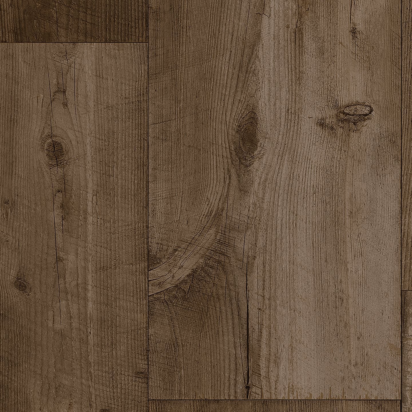 Triton Tuff - Bronze