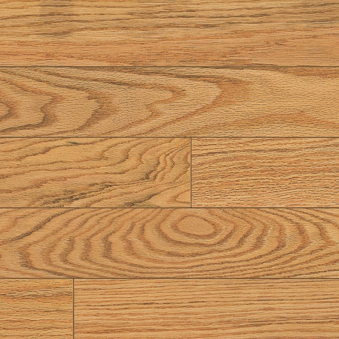 Chêne rouge V+ Max 19 - Naturel / Red Oak V+ Max 19 - Natural