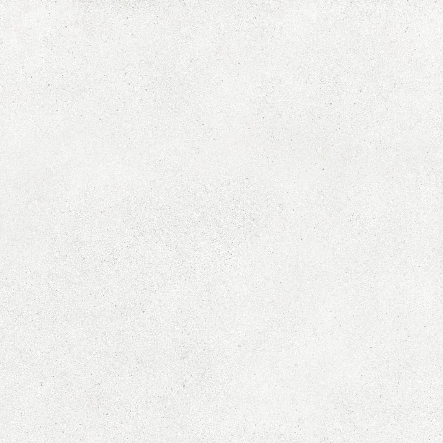 Brighton - Perle / Pearl