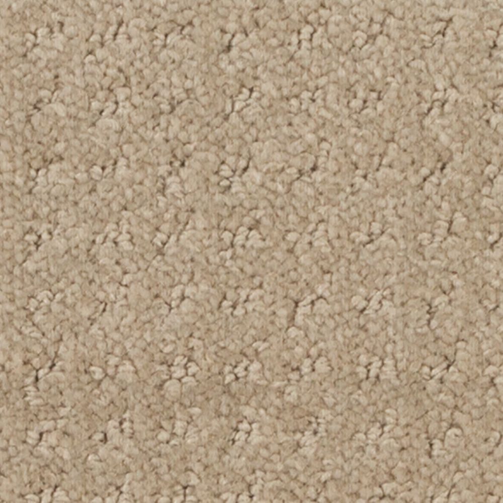 Burke - Rivage sans fin / Endless seashore