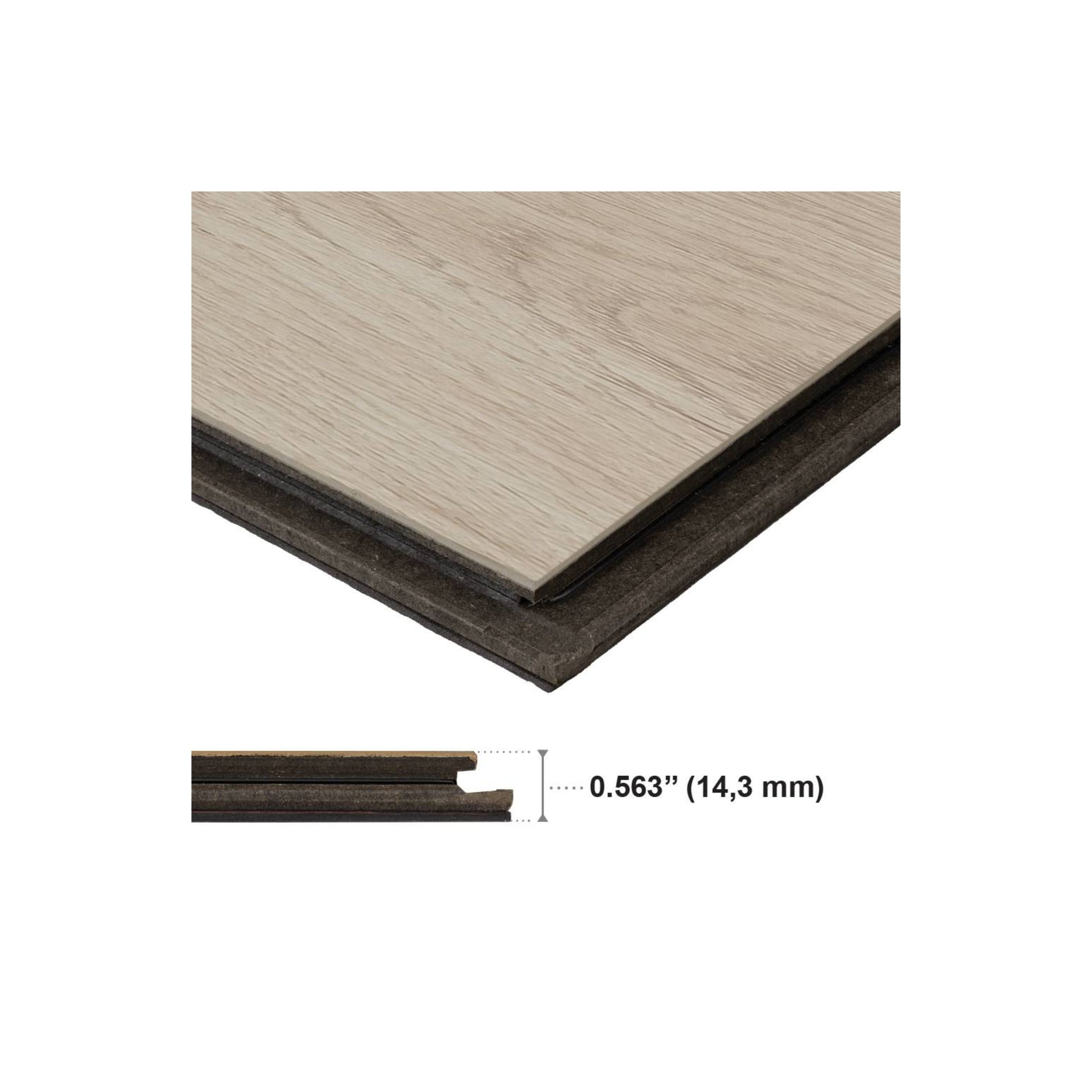 BIELSA - CORMORANT - CLOSEUP