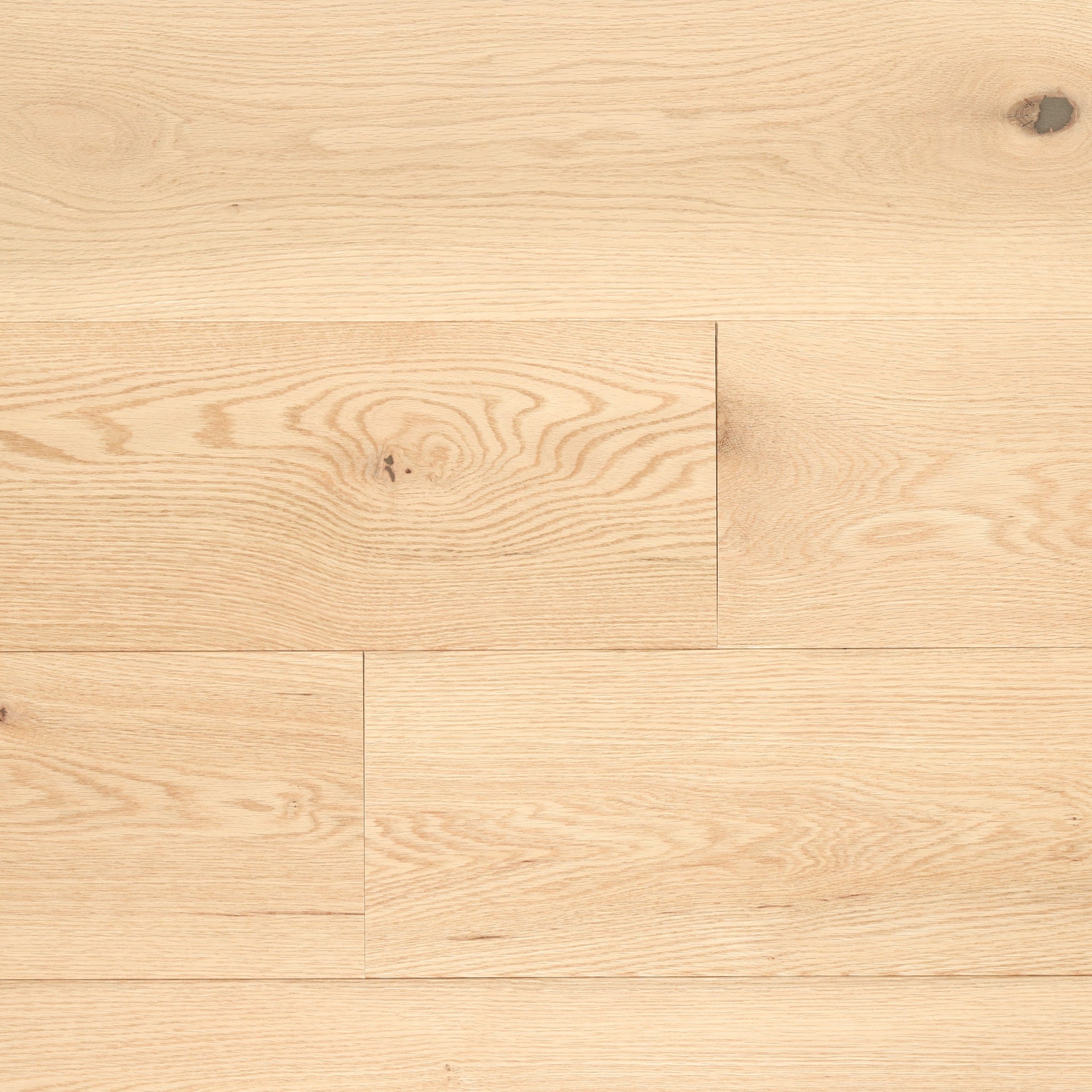 Chêne Rouge Nuance Solidclassic Mat - Raw / Red Oak Shade Solidclassic Matte - Raw