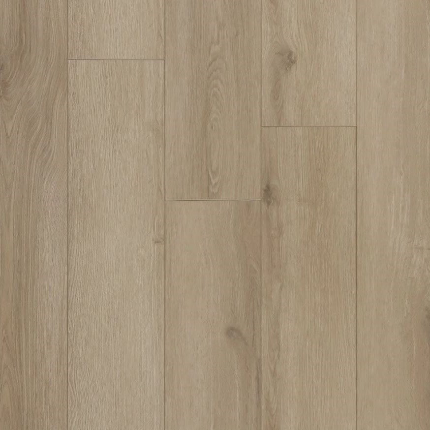 Riptide - Rain Dance