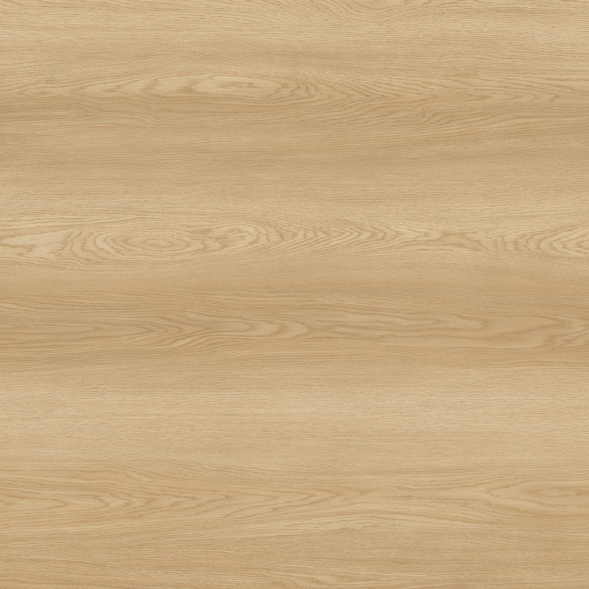 BELIZE - WHISTLER - SWATCH