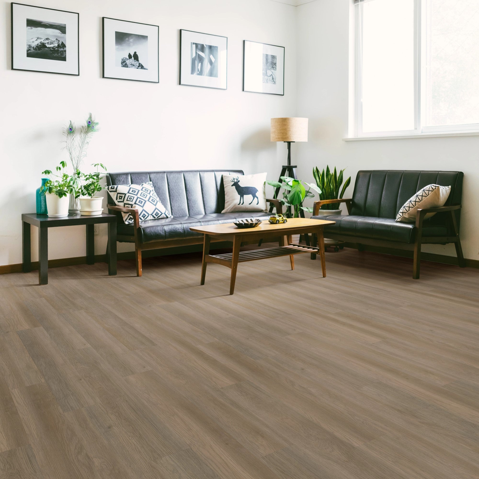 Pinto 6" x 48" - Auto-Plombant