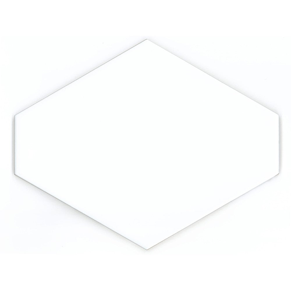 couleur & dimension 8" hex