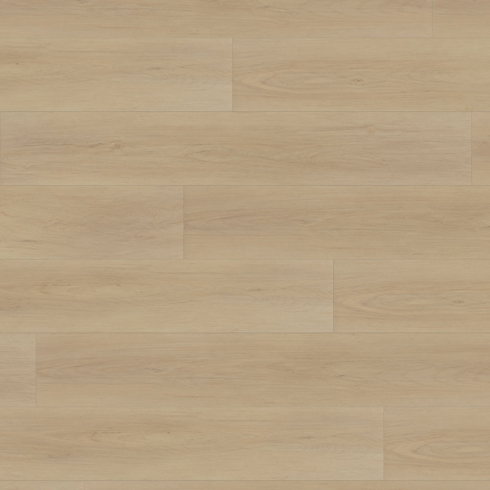 BALLO XTRA - HERMINE XTRA - SWATCH