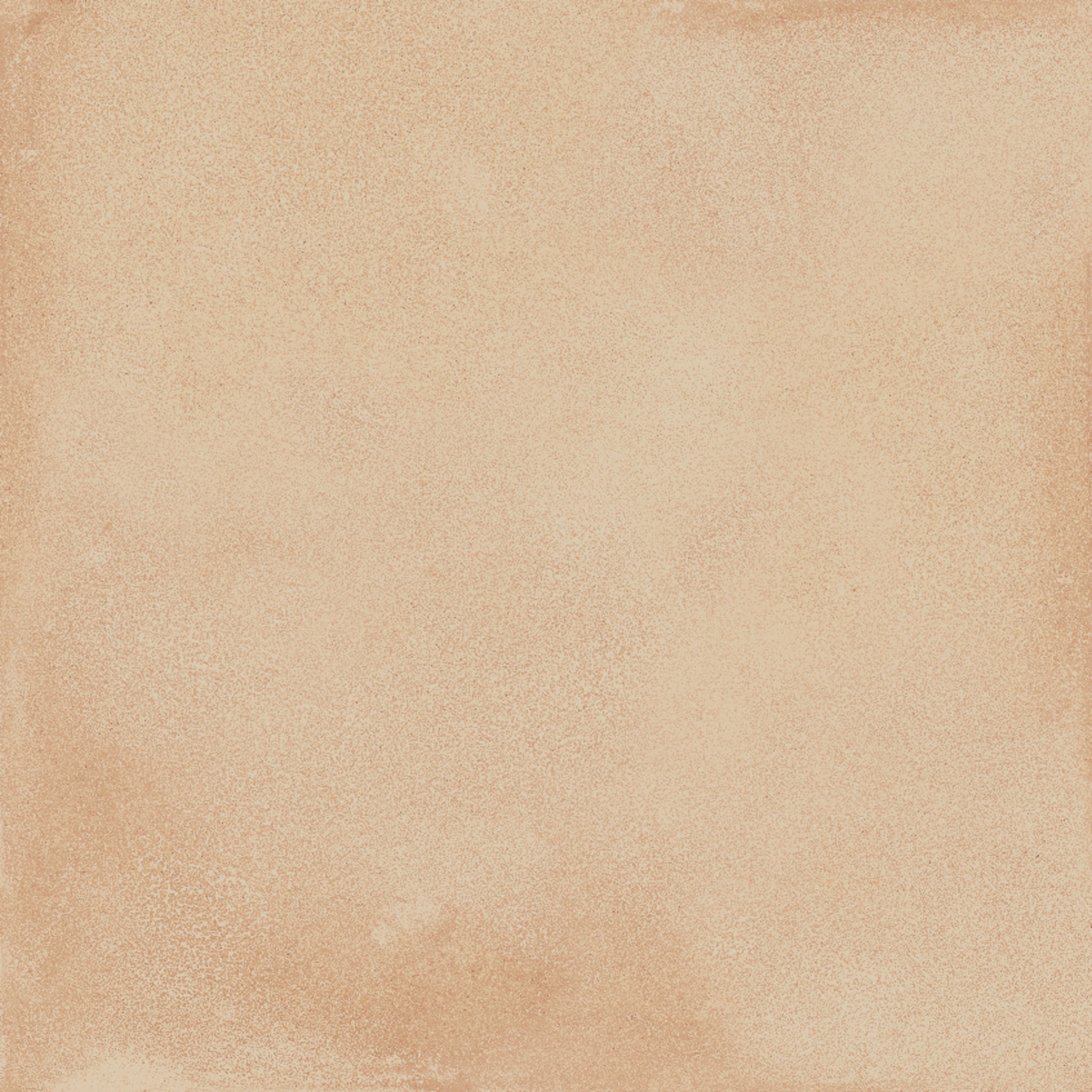 AMURI - BISCOTTO - SWATCH