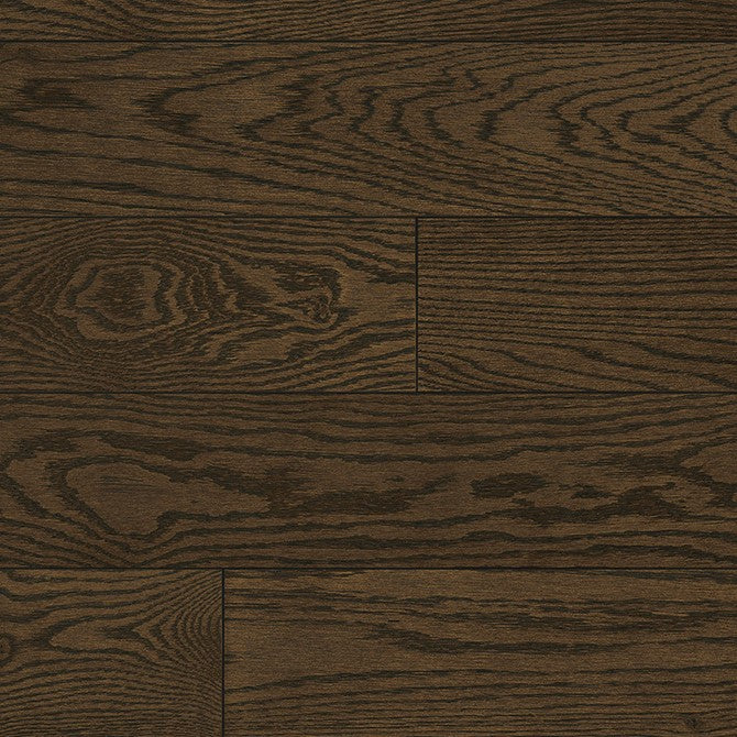 Chêne rouge V+ Max 19 / Red Oak V+ Max 19 - Dublin