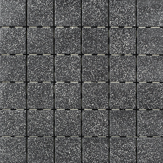 Noir Moucheté / Speckled Black