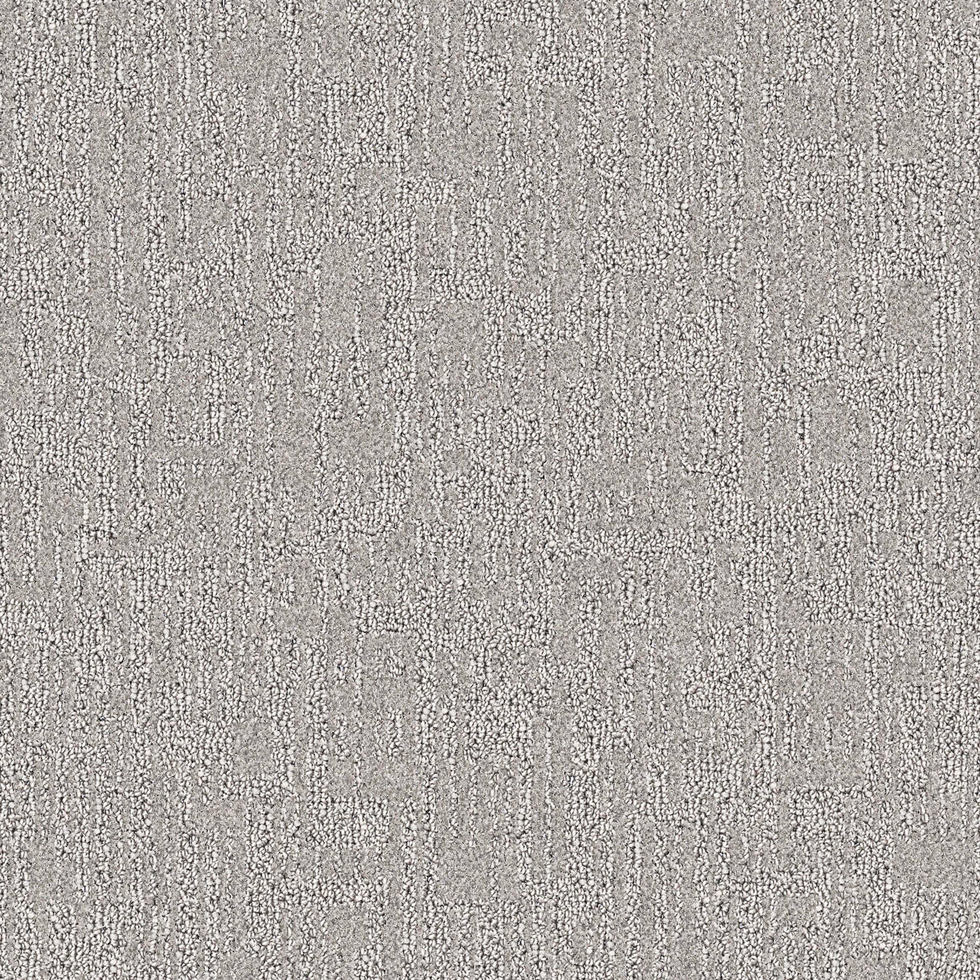 Bitola - Papillon de nuit / Night Moth