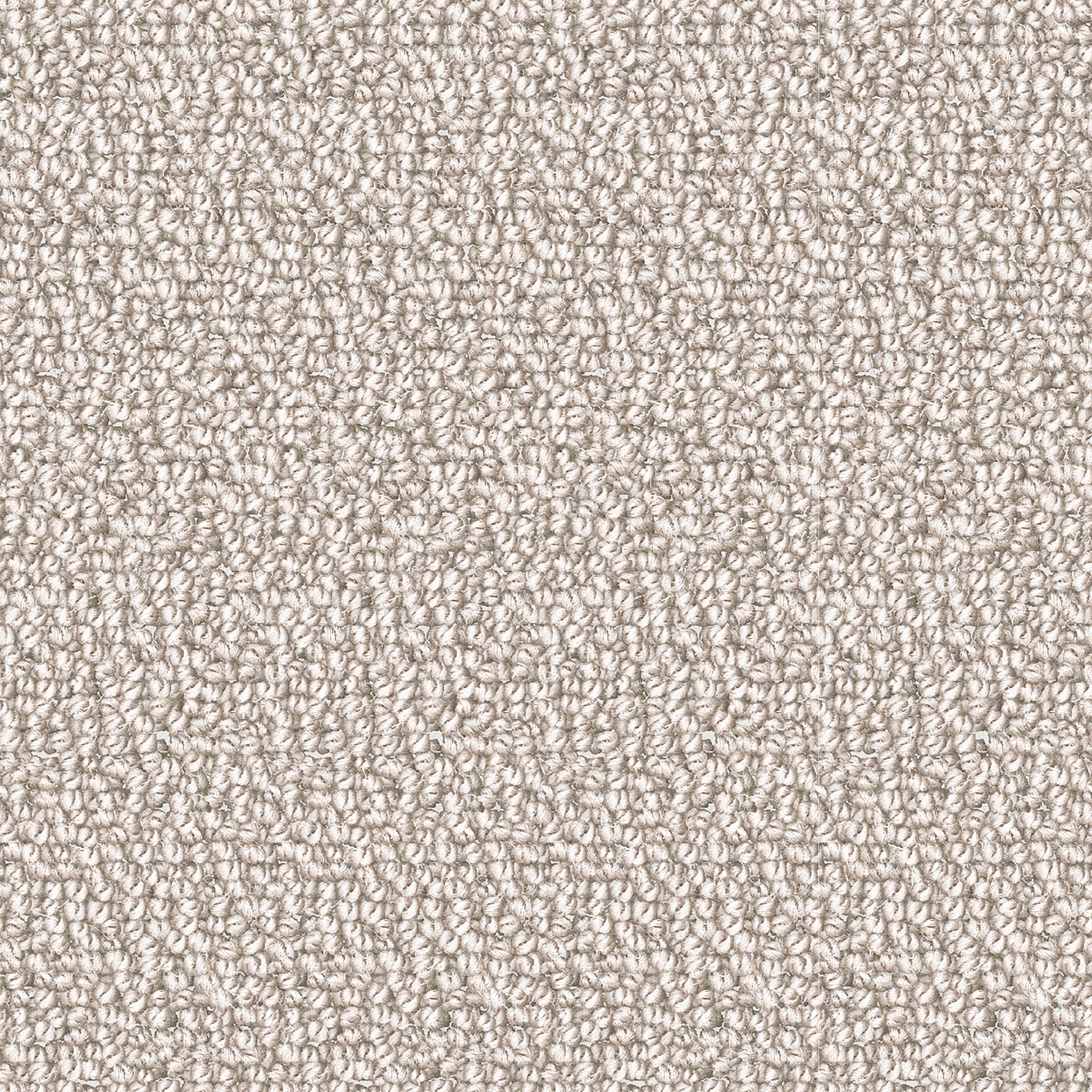 Bisag - Crème Contemporaine / Contemporary Creme