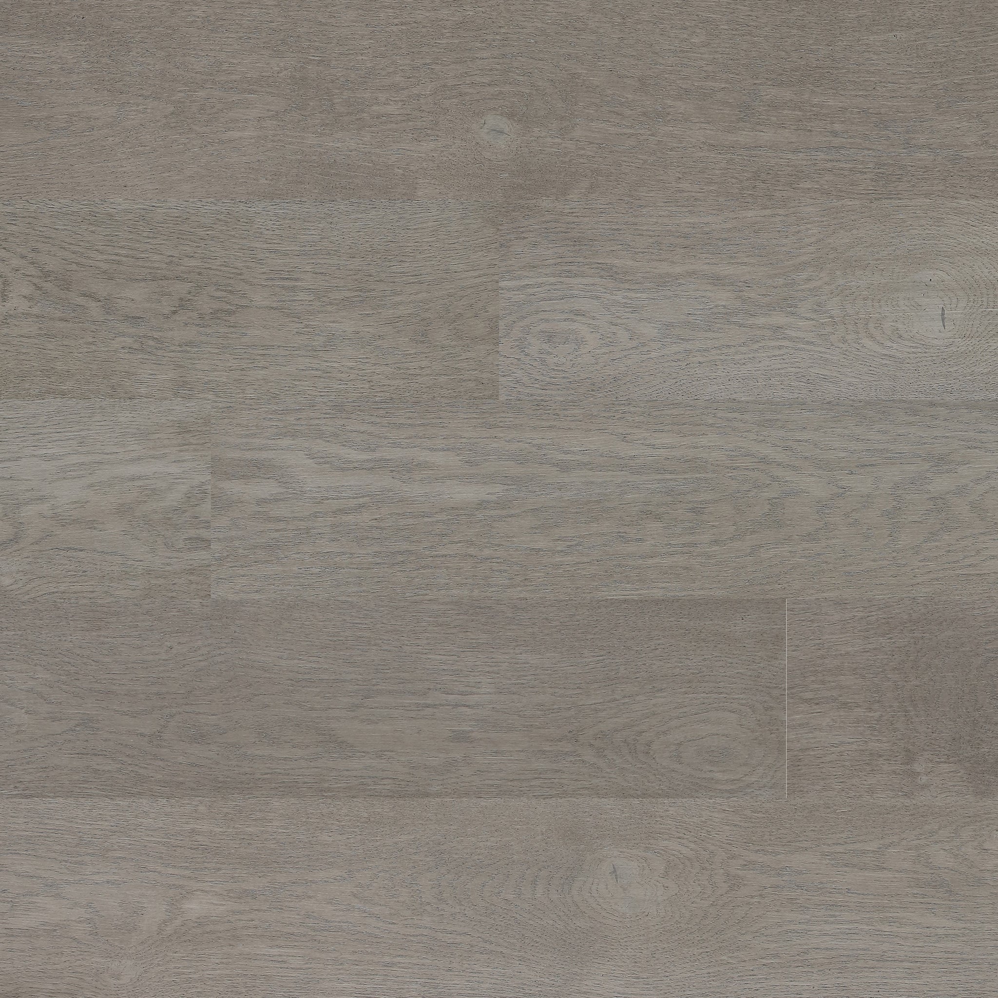 Francfort / Frankfurt