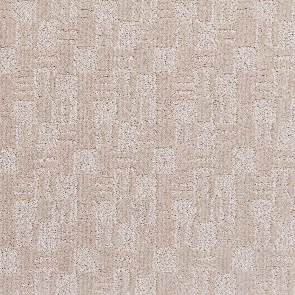 Bonsai - Littoral Sablonneux / Sandy Coast