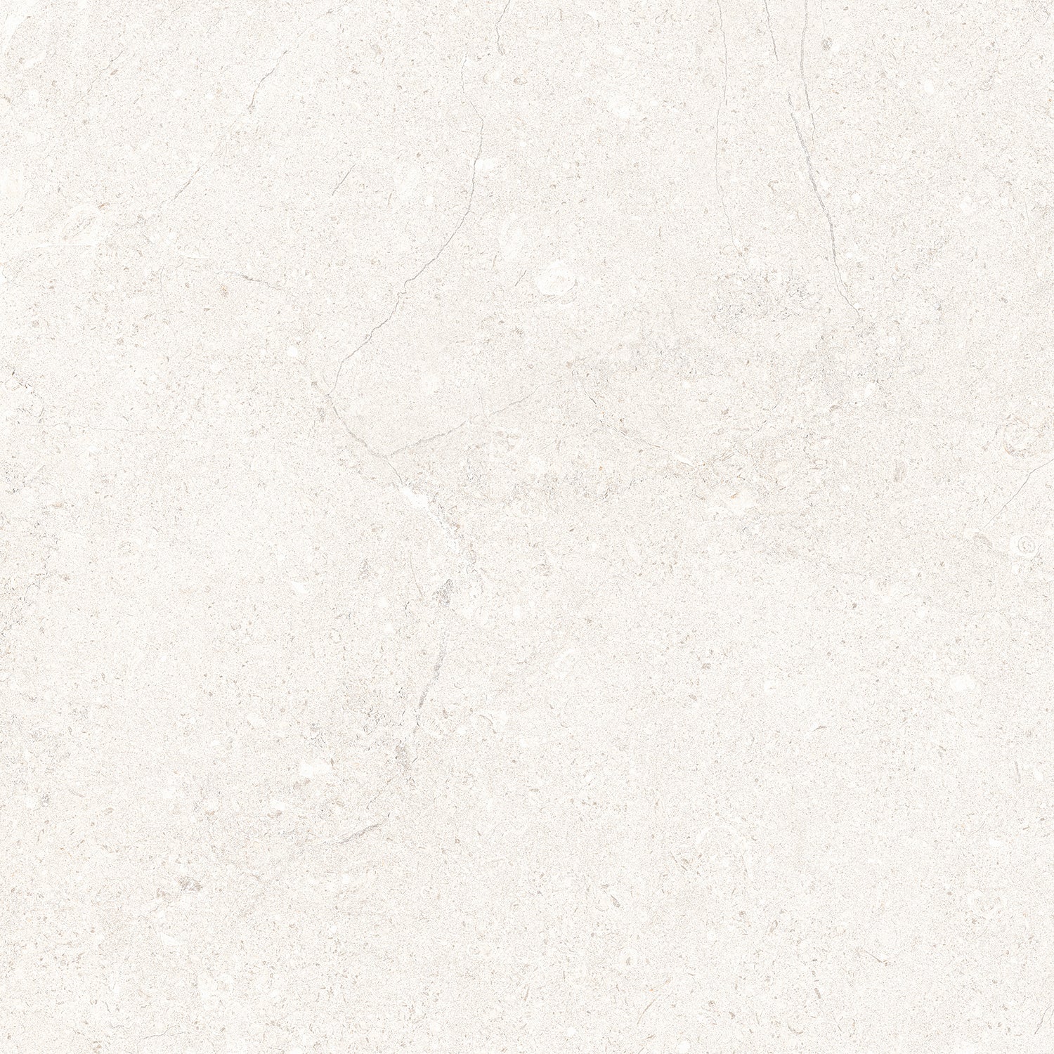 Blanc / White