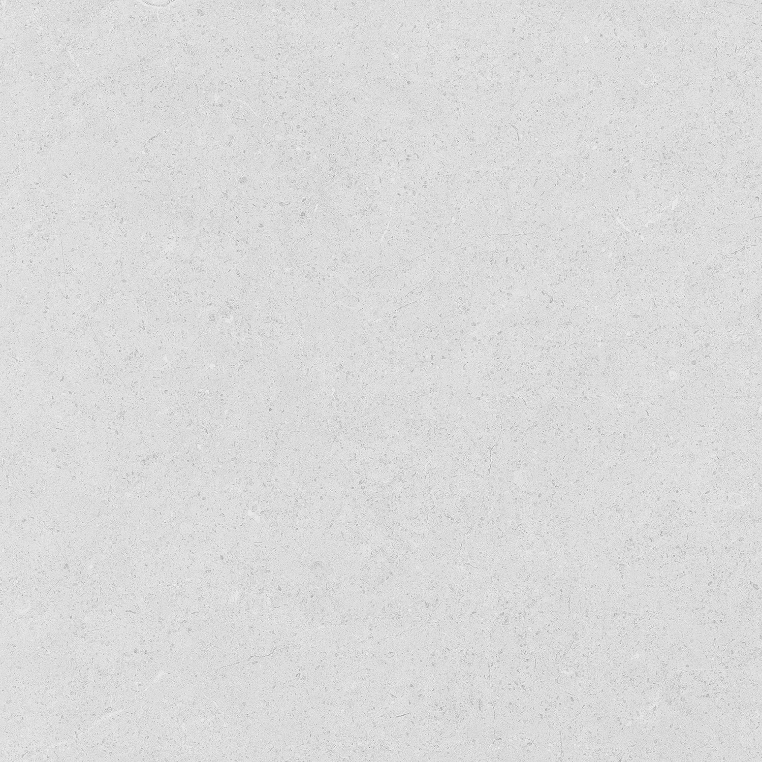 Gris Pâle / Light Grey