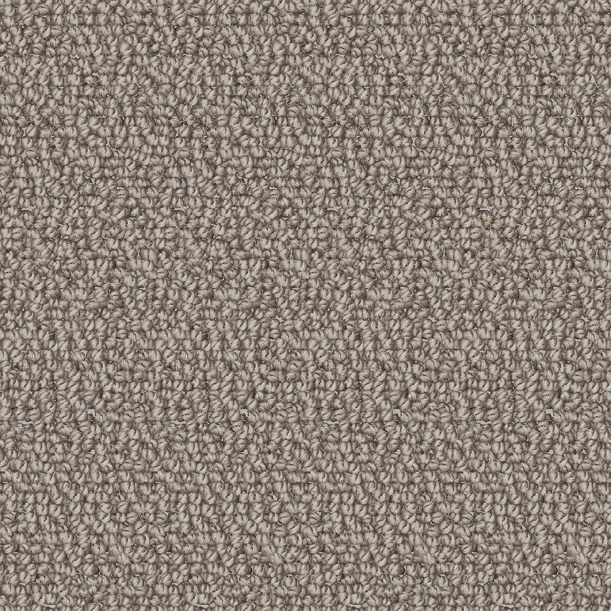 Bisag - Avant la tempête / Before the storm