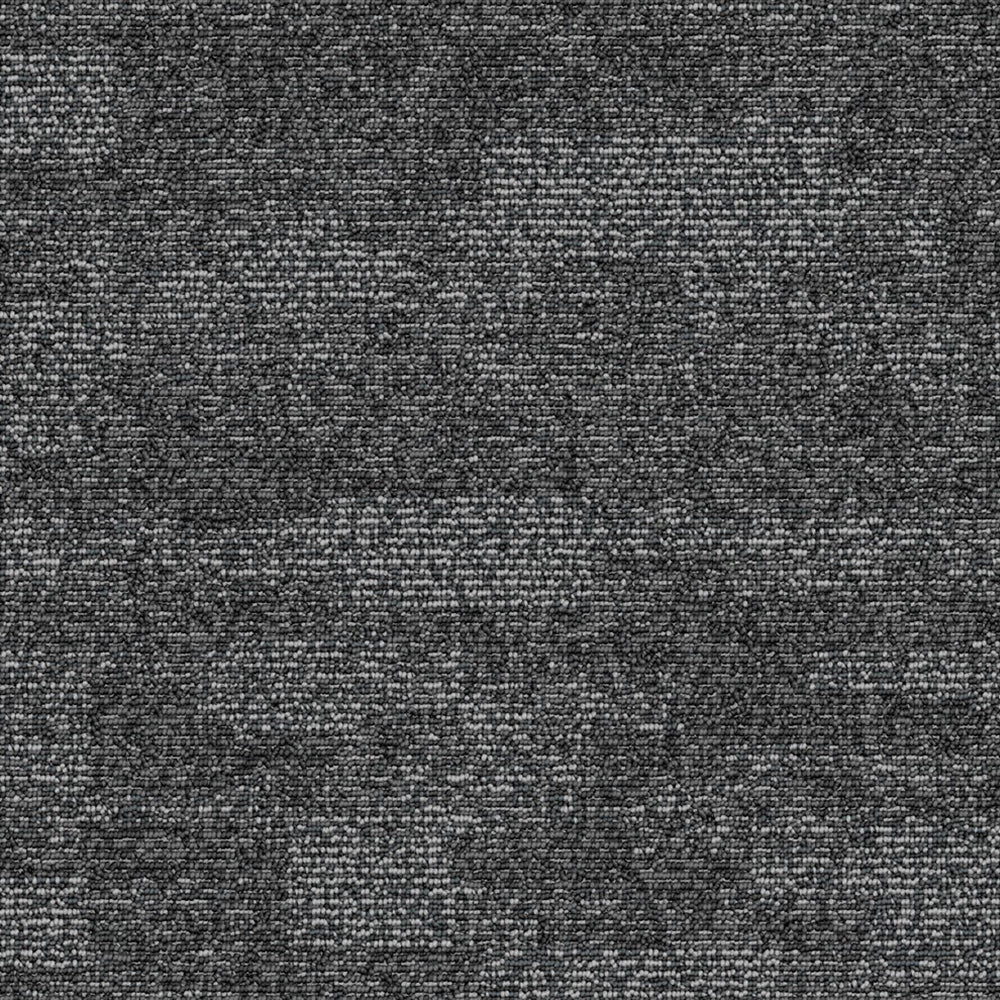 Bundy - Nuit sombre / Gloomy night