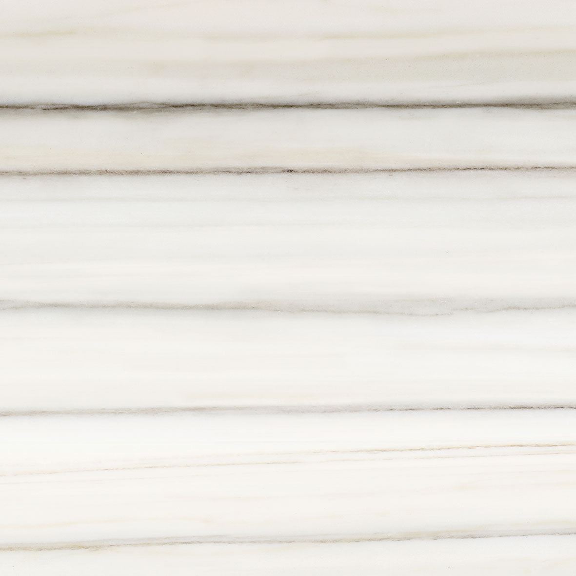 Zerbi Gris / Zerbi Grey