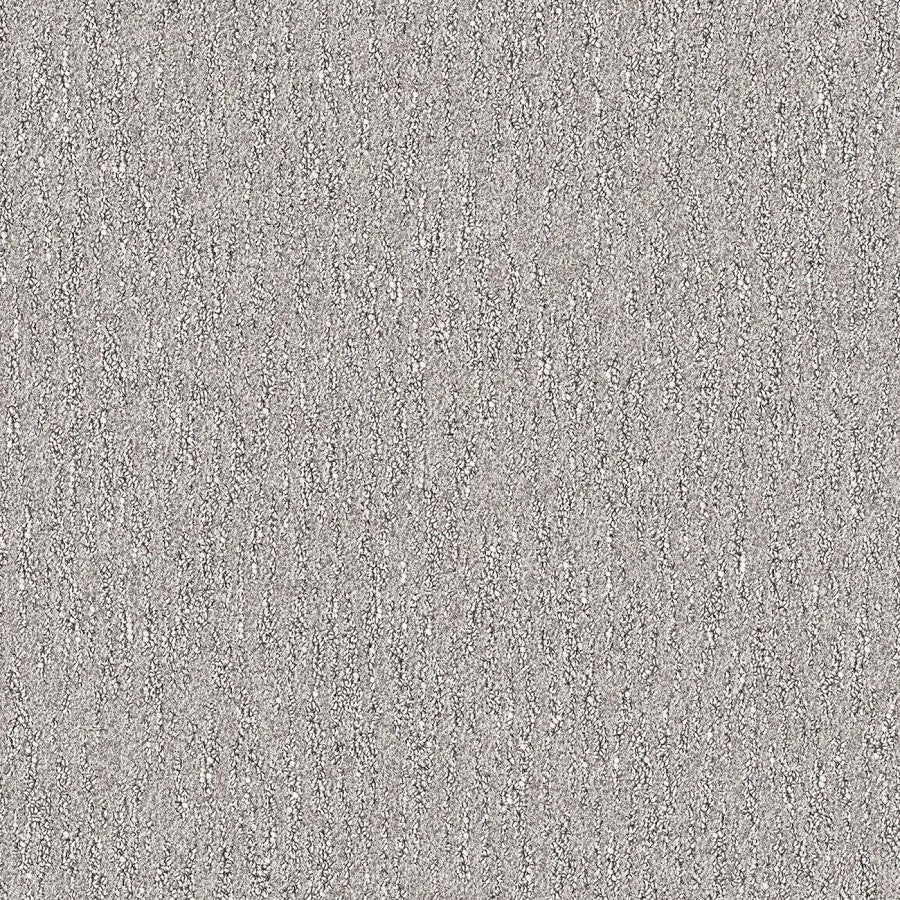 Bellaria - Papillon de nuit / Night Moth