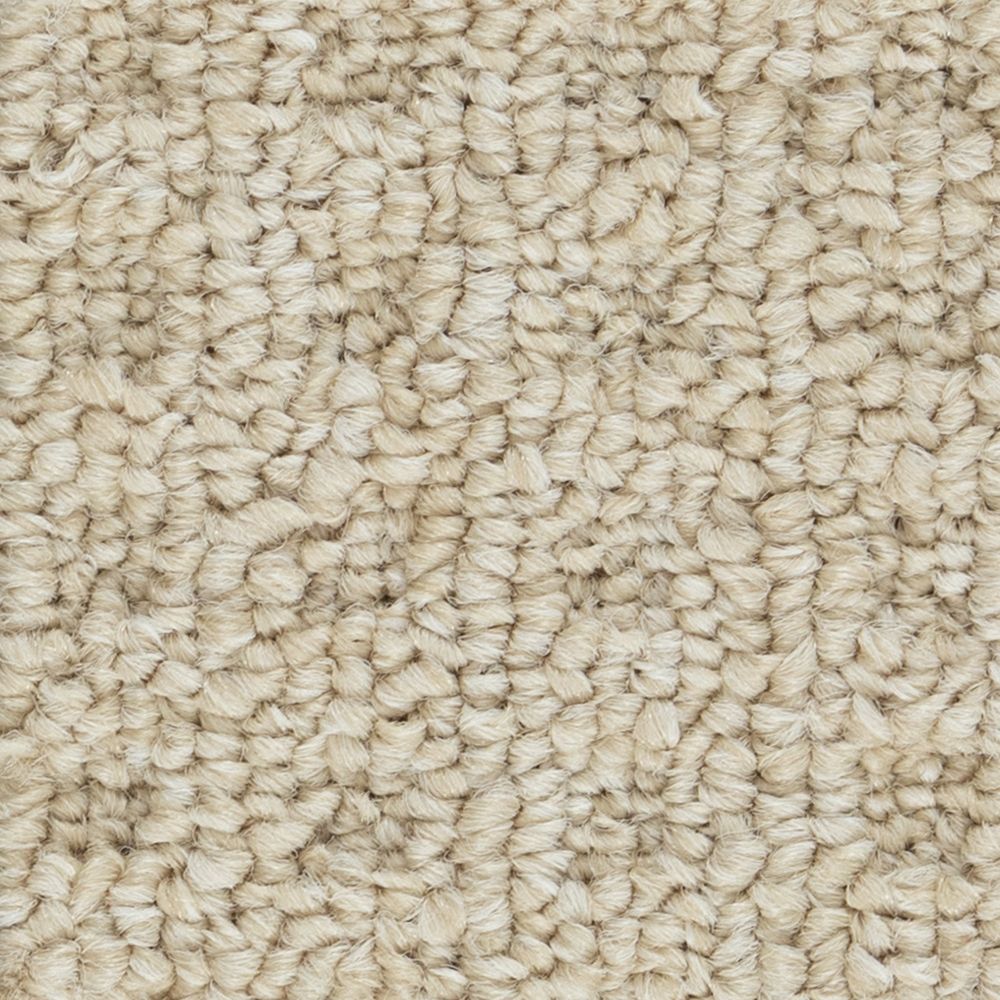Bologne - Beige Éternel / Everlasting Beige