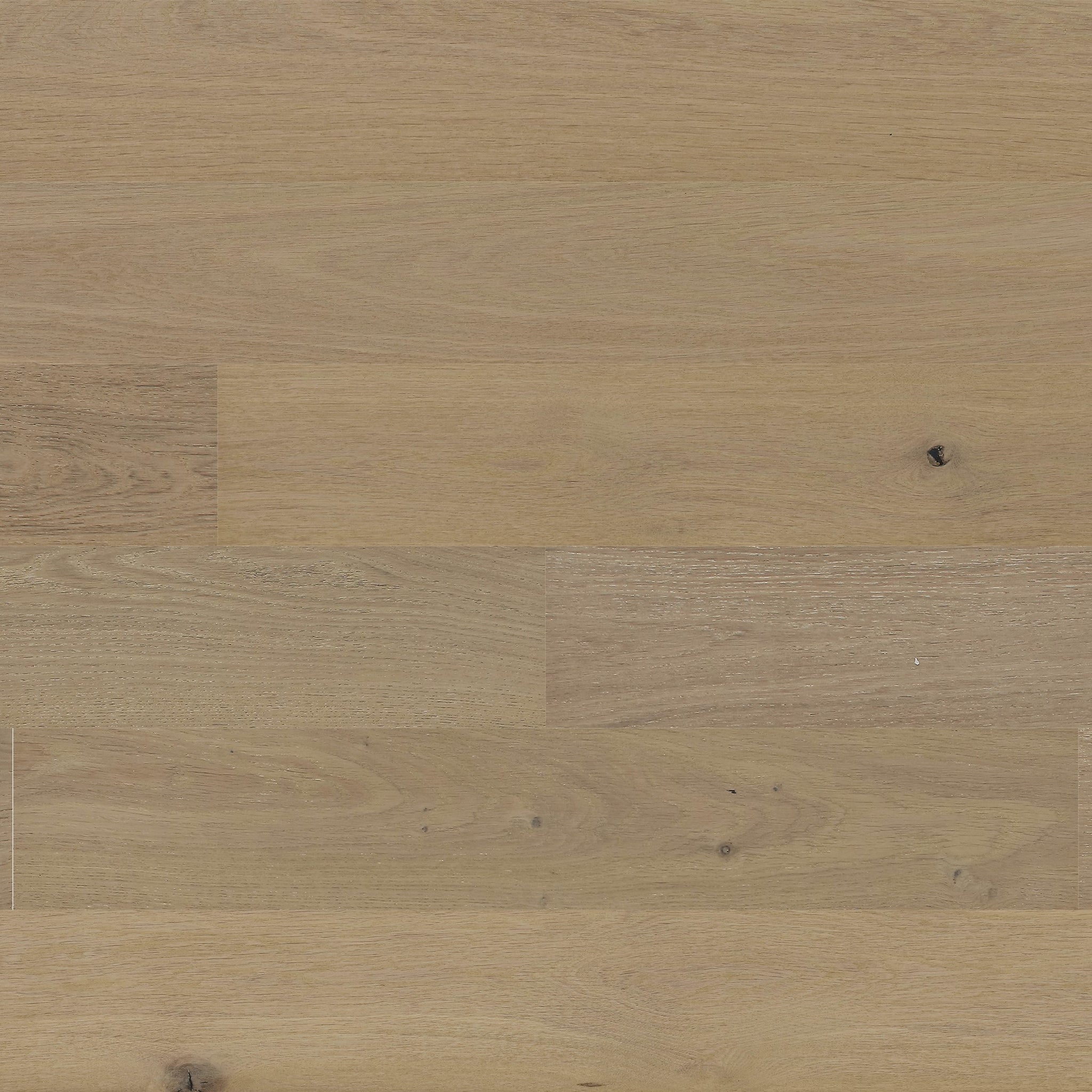 Souffle d'hiver / Breath of winter