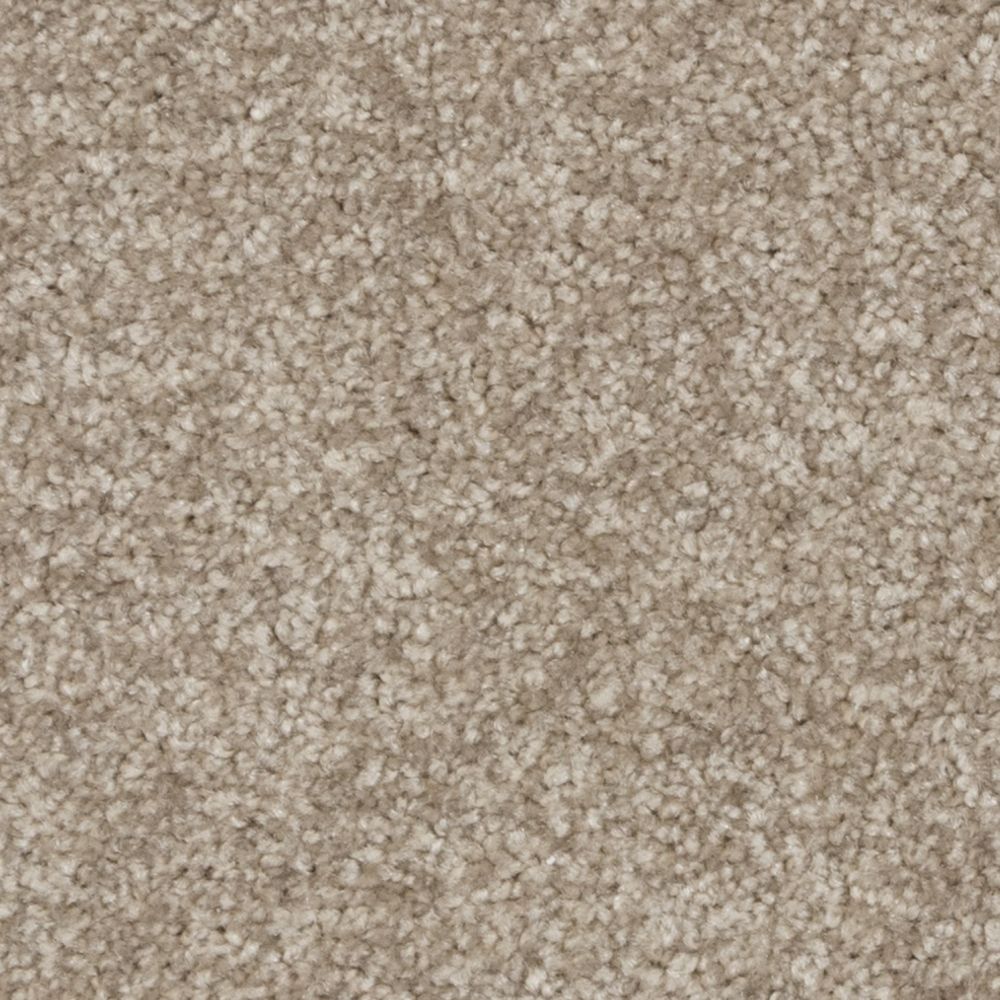 Bikon - Sable et Coquillages / Sand and Shells