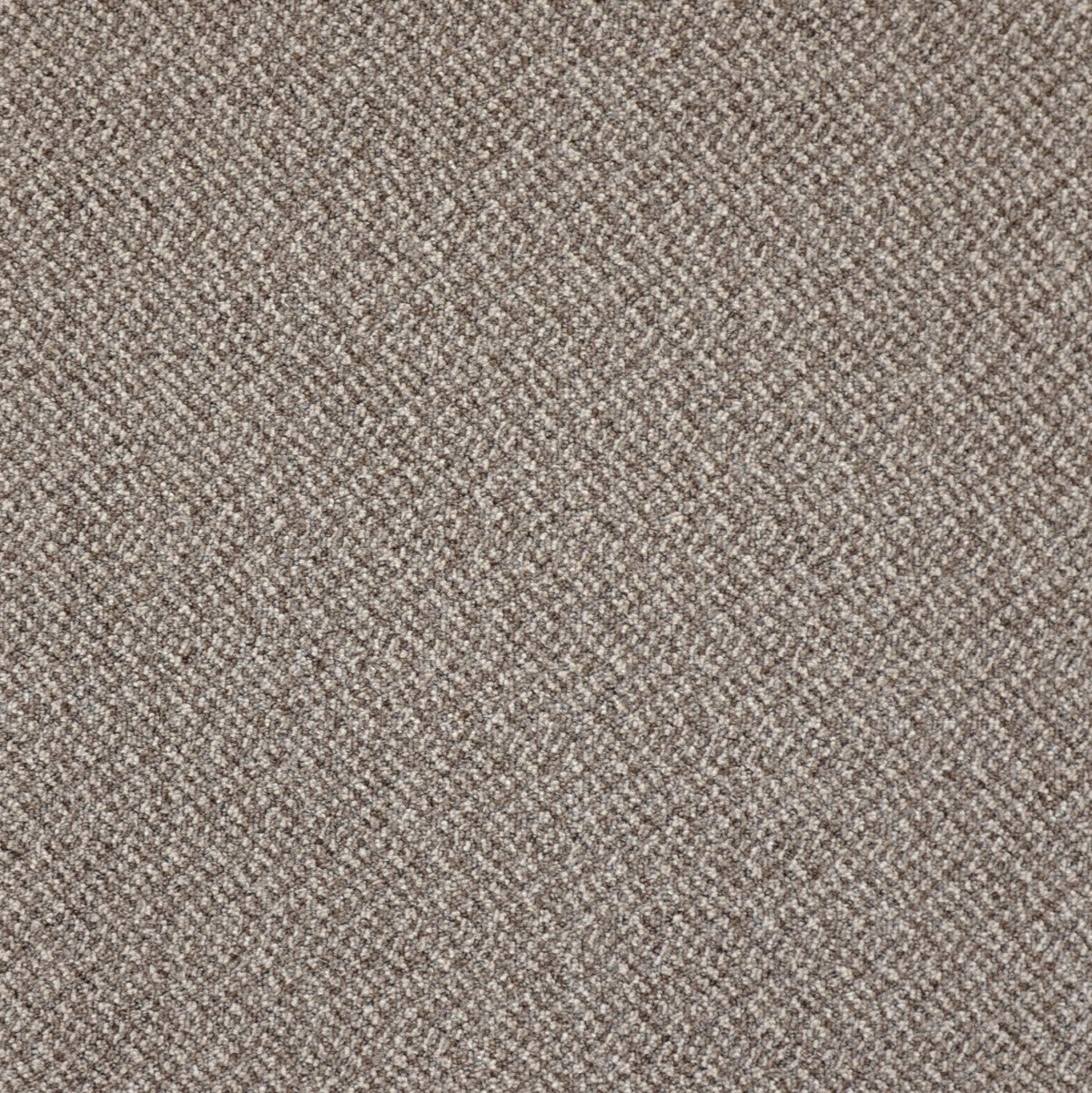 Chabot - Gothique / Gothic