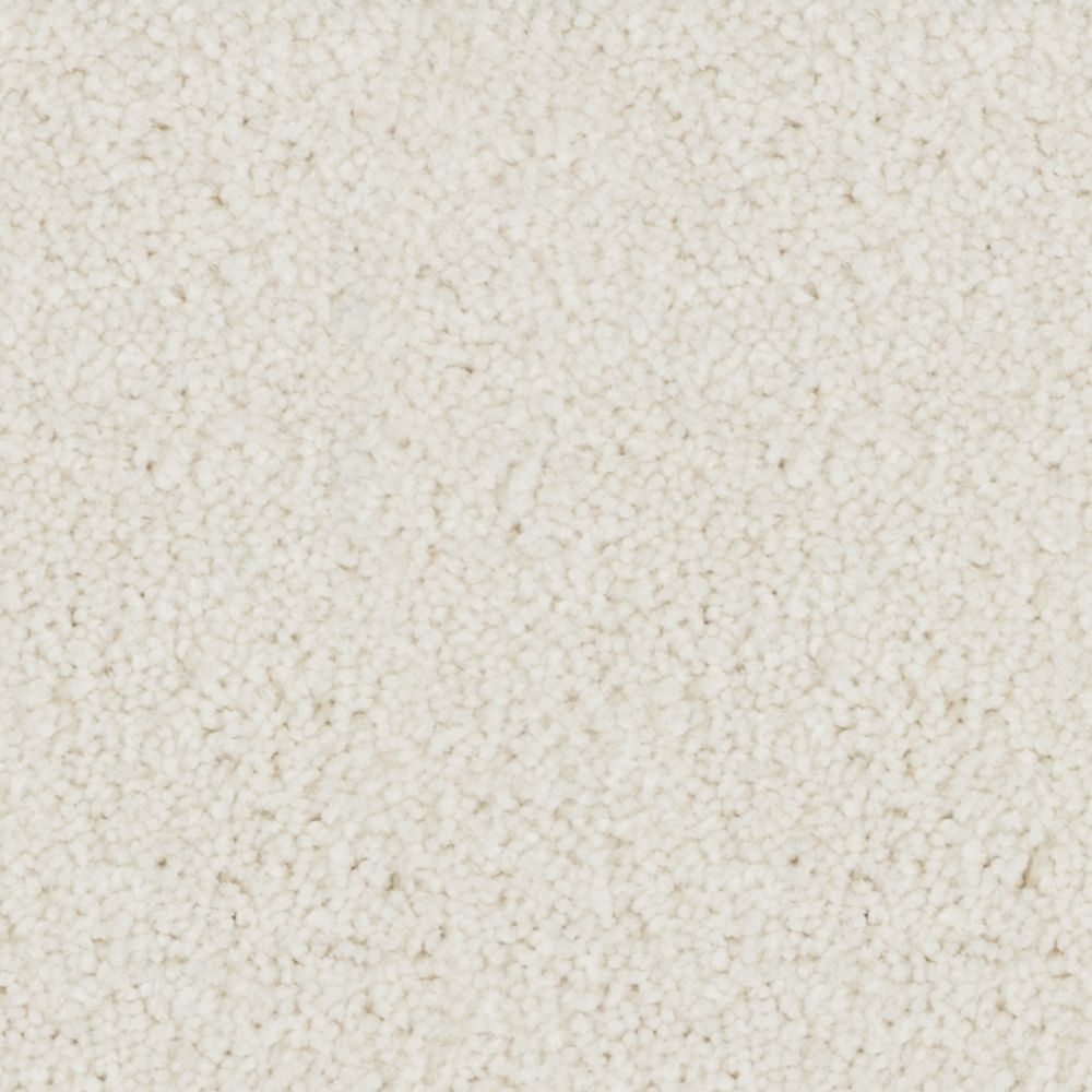 Bikon - Neige Hâtive / Early Snow