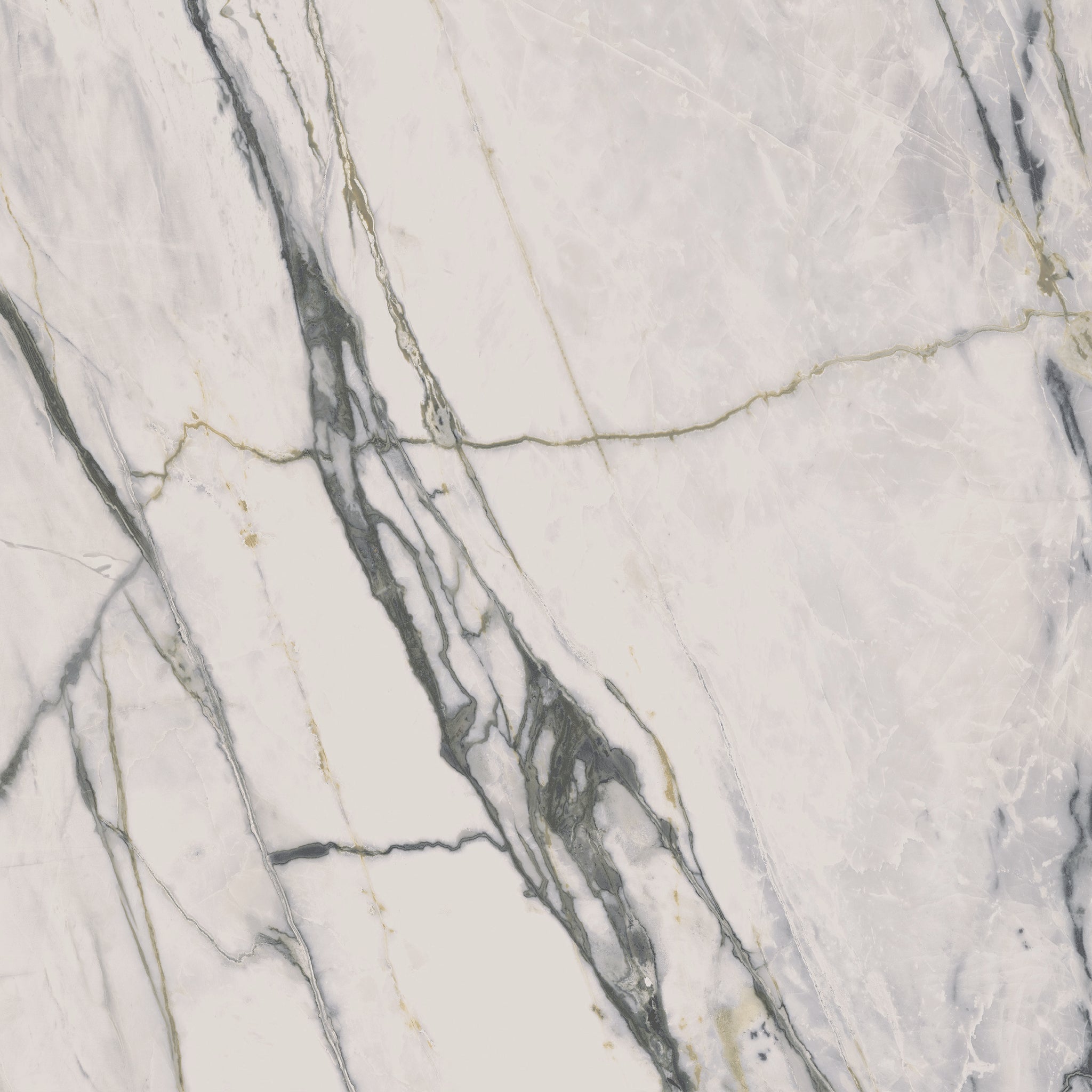 Calacatta Bamboo / Calacatta Bamboo