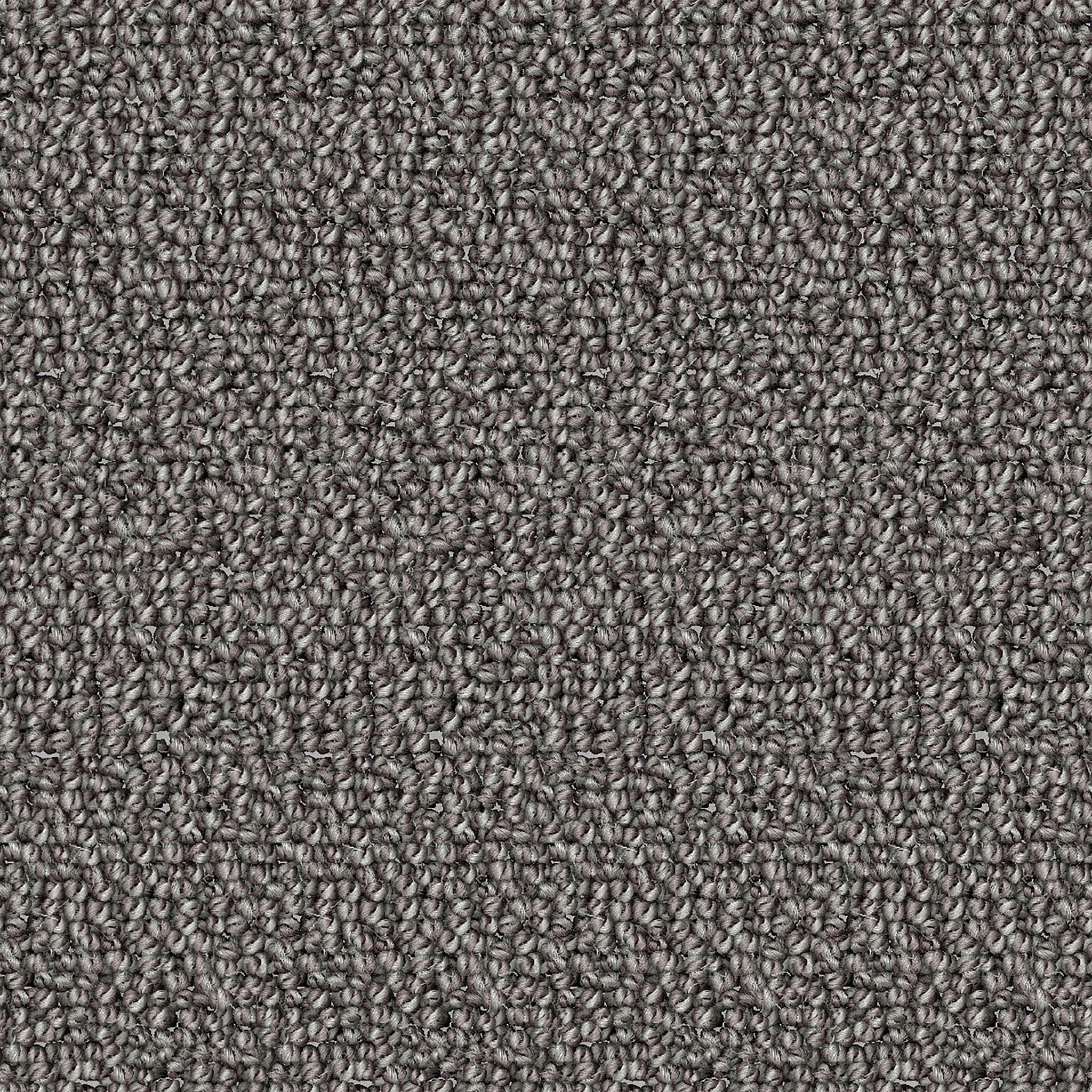 Bisag - Fin Novembre / Late November