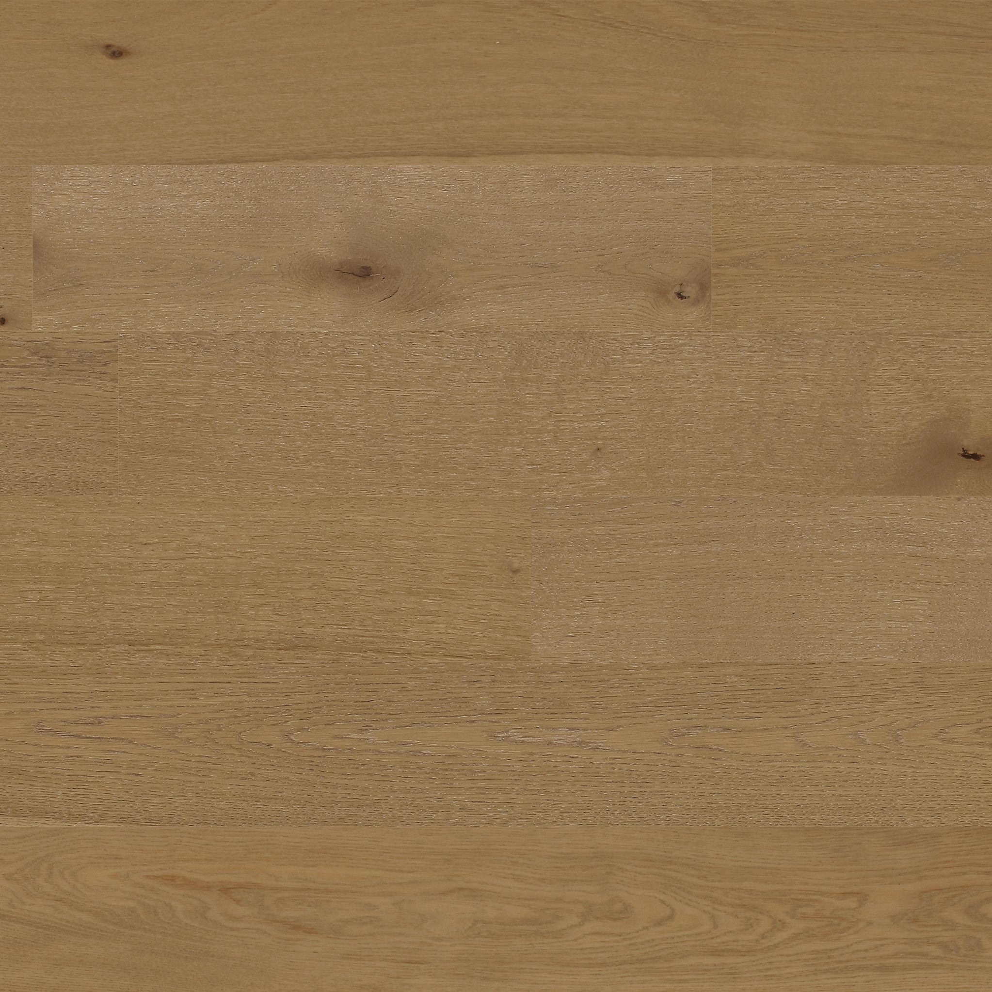 Arche du désert / Desert ark