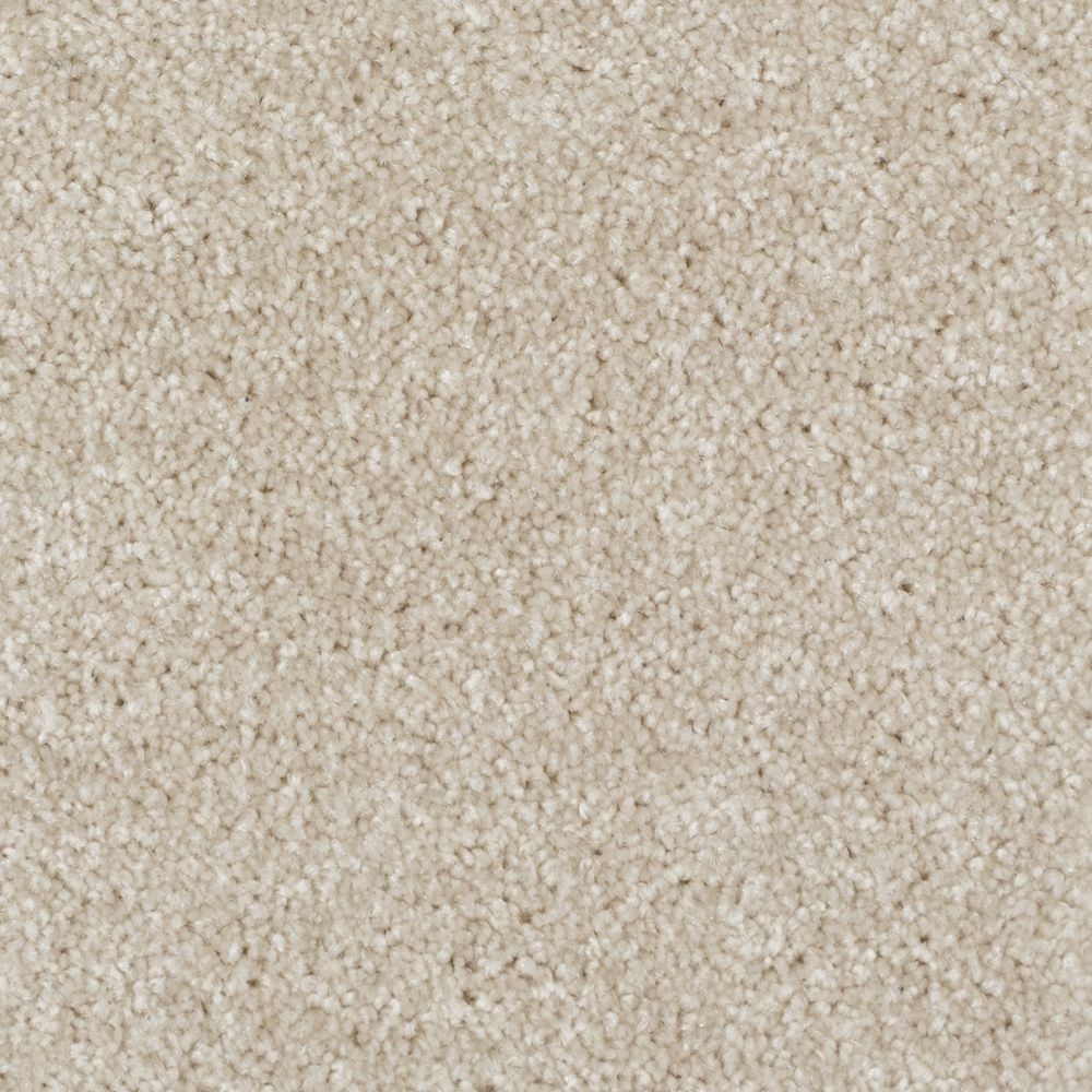 Blanchett - Papillon de Nuit / Night Moth