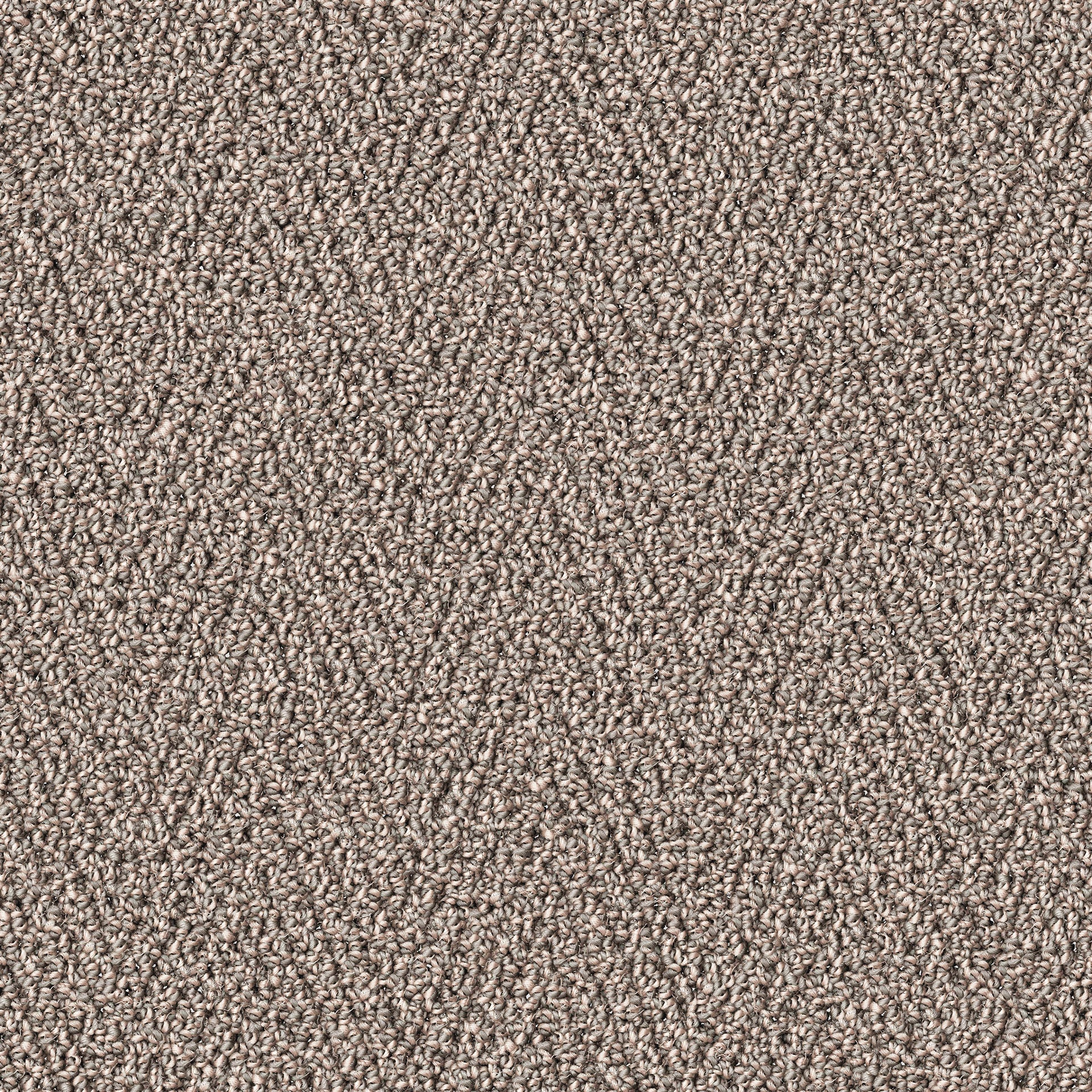 Brasov - Château Hanté / Haunted Castle