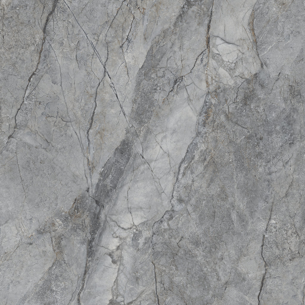 Rolex 24" x 24" gris