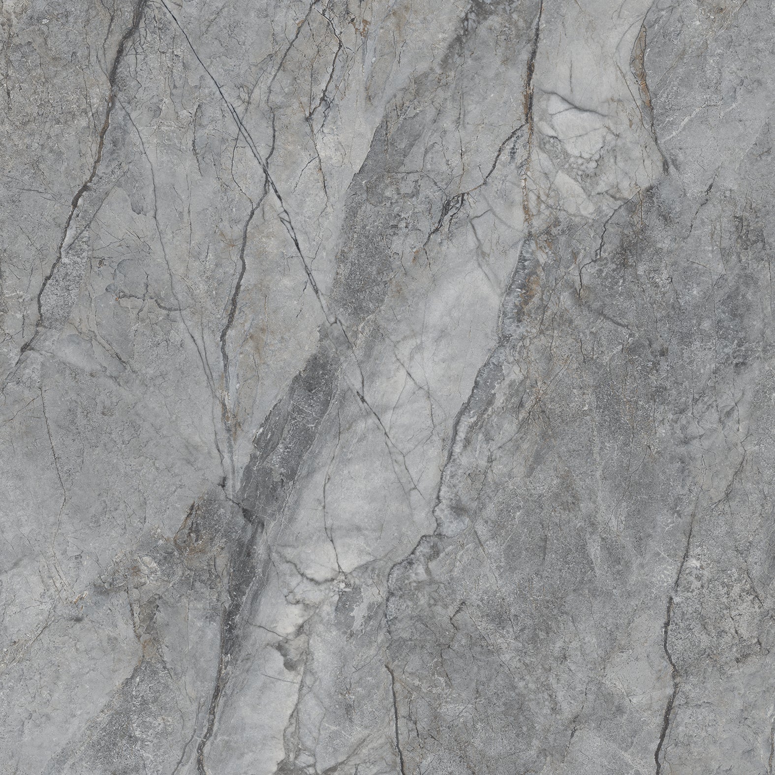 Rolex 24" x 24" gris