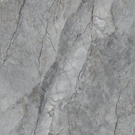 Rolex 24" x 24" gris