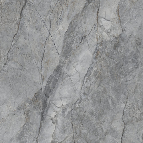 Rolex 24" x 24" gris